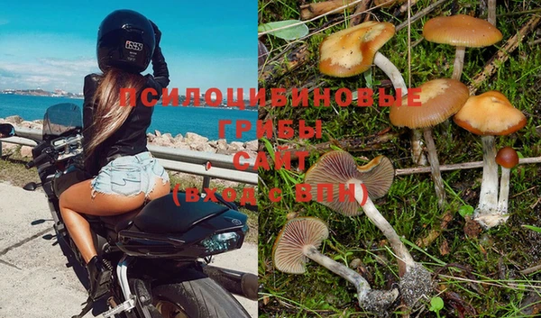 винт Верхний Тагил