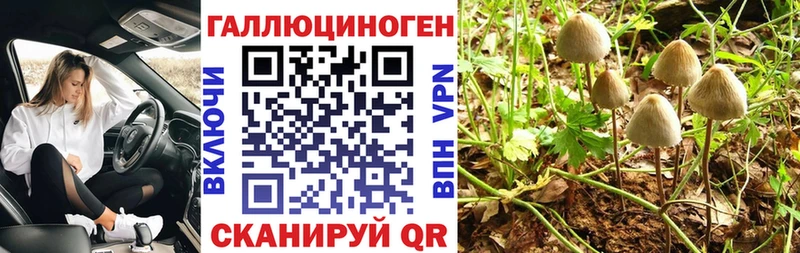 Купить где  Оханск  Галлюциногенные грибы Magic Shrooms 